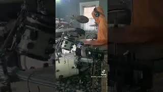 Attack Attack! - Brachyura Bombshell - Drum Cover