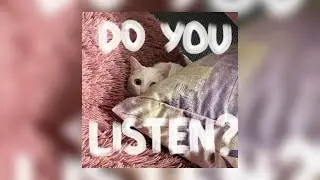binifie - because love (official audio)