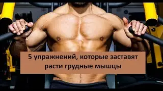 5 упражнений, которые заставят расти грудные мышцы