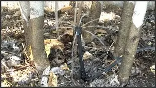 Drip Line Installation