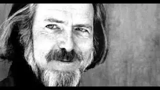 Alan Watts  -  Confusing Money with Wealth