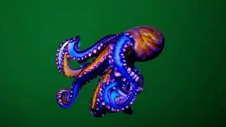 Octopus Swimming – Free Green Screen Loop Animation VFX