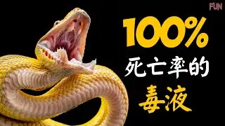 100%死亡率的毒液！| 這六種毒蛇，老虎看見都害怕！| 這六種毒蛇，能轻易的把老虎毒死！