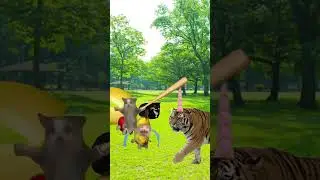 357140831 3811881299130998 1781208951022453793 n  #shortvideo #shortsfeed #shorts