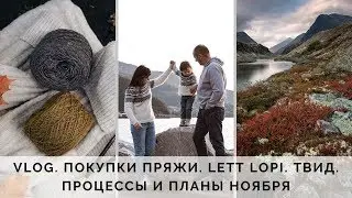 VLOG 18/2019 | YARN SHOPPING | LETT LOPI | SOFT DONEGAL TWEED | NOVEMBER KNITTING PROCESSES AND P...