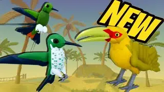 NEW Hummingbird and Toucan on Feather Family!