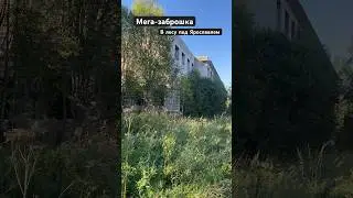 Мега-заброшка в лесу в Ярославской области.