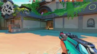 Calm Aim?
