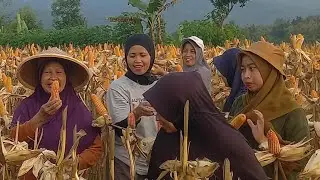 Desa Kebongunung, Loano