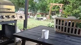 Saturday Morning Coffee