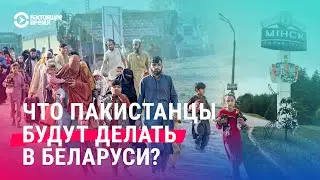 150,000 Pakistanis in Belarus: What are the threats and risks for the Lukashenko regime and Belar...