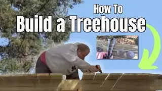 How to Build a Treehouse - Building a Treehouse Platform in a Pine Tree in the Woods