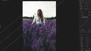 Rapid Edit with Picktorial - Lavender fields