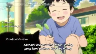 DAYS episode 12 sub indonesia