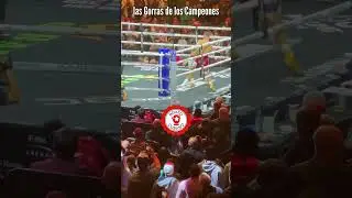 Aquí le dieron el chance a Rolly de descansar unos segundos extras. #RomeroCruz