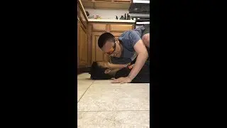The Third Vitamin Gummy [The Second Best Vertical Video Skit On The Internet]