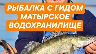 Ловим судака на Матырском водохранилище. Осень 2023
