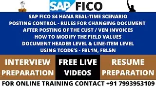 SAP FICO S4 HANA REAL-TIME SCENARIO POSTING CONTROL - RULES FOR CHANGING DOCUMENT