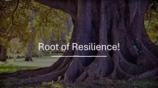 Root Of Resilience | Pastor Wale Olulana | Harmony Christian Centre