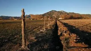 P.D.Q. Bach - Uptown Hoedown