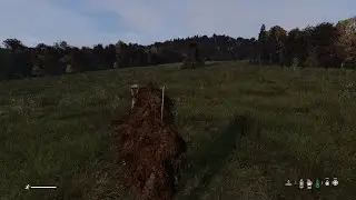 DayZ
