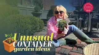 Let’s Try Some Unusual Container Garden Ideas 🪴🪴
