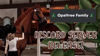 Discord Server Release! [SERVER LINK IN DESC.]