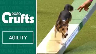 Agility - Kennel Club British Open Final - part one | ​Crufts 2020