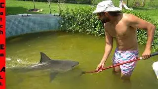 We CAUGHT a Giant FRESHWATER SHARK and Brought it HOME to My BACKYARD POOL Pond! **State Record**