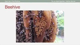 Summer School, Lecture by Heather Barnett: City as Superorganism. Part 1