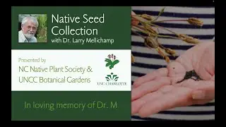 Collect, Prepare, and Sow Native Seeds with Dr. Larry Mellichamp