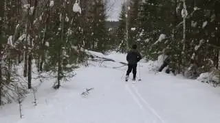 То ли лыжи не едут. 1