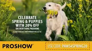 Celebrate National Puppy Day with ProShow!