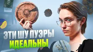 5 ШУ ПУЭРОВ, КОТОРЫЕ ХОЧЕТСЯ ПИТЬ БЕСКОНЕЧНО