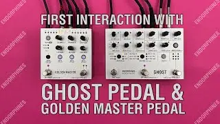 First interaction with the GHOST Pedal and GOLDEN MASTER Pedal