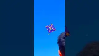 Kite flying 🪁| Patang bazzi 😍#kiteflying #kites #patang #patangbazi #viral