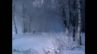 Kar Üzerinde Yürüyüş - Kurt, Baykuş, Rüzgar Sesleri (Sanal Ortam)