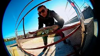 ПРЕКРАСНЫЕ ОСЕННИЕ ДНИ | HANDBOARDING