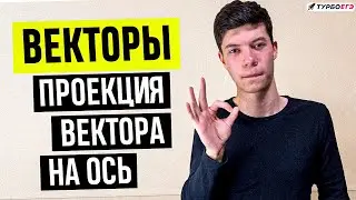 Векторы и проекция вектора на ось | ЕГЭ 2024 по физике