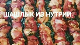 ШАШЛЫК ИЗ НУРТИИ, ИЗУМИТЕЛЬНЫЙ МАРИНАД, И ХАШЛАМА ИЗ БАРАНИНА