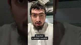 ЗАПРЕТ НИКАБА и МУФТИЙ ДАГЕСТАНА