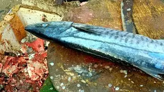 Vanjaram Fish Slice Cutting | India Fish Market | poolCT 360*🔪