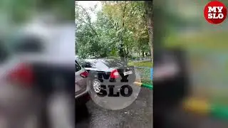 Столб и дерево рухнули в центре Тулы во время грозы прямо на два автомобиля