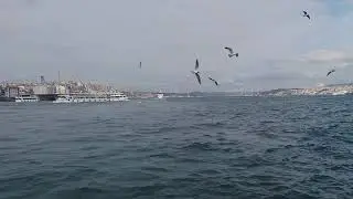 İstanbul dan deniz ve gemi manzarası,doğa video