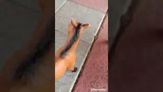 непобедимый 2 серия
