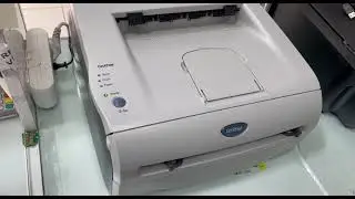 BROTHER HL-2040 DRAM RESET