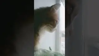 Да как?!