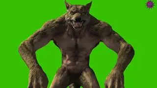 WEREWOLF Angry walking Green Screen