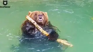 Палочка-выручалочка напарник для купания🐻🌊/Bear Mansur