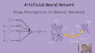 Introduction to Artificial Neural Networks & Bias